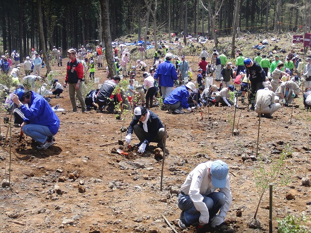 青空の下で3年ぶりに実施できた「富士山麓ブナ林創造事業」_f0141310_882512.jpg