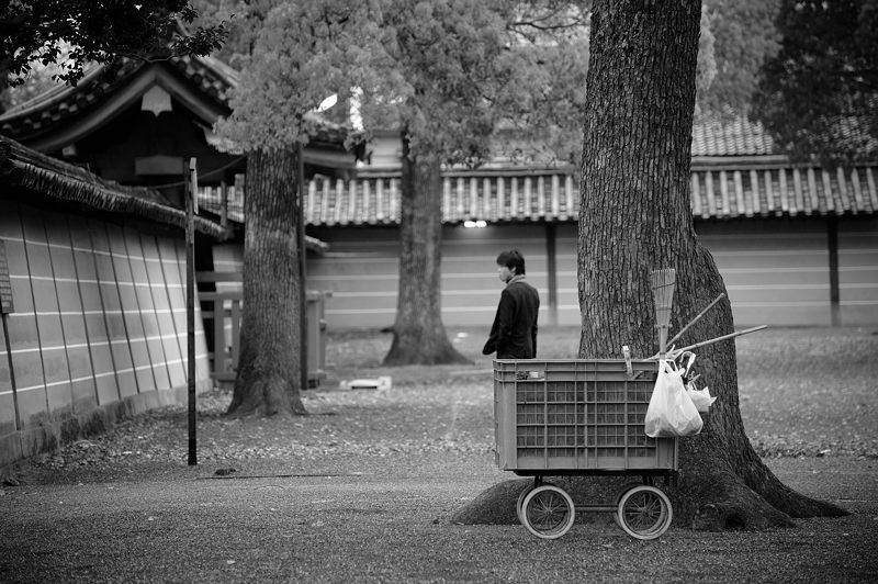 曇天東寺_f0032011_18261544.jpg