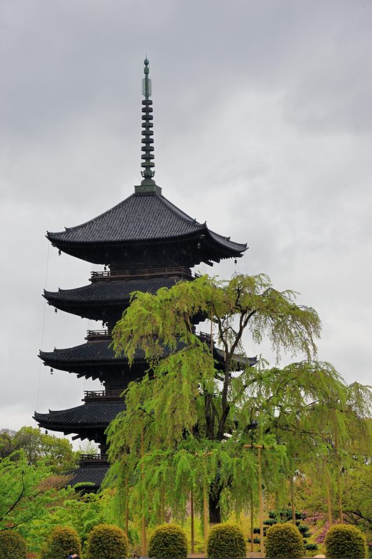 曇天東寺_f0032011_1826159.jpg