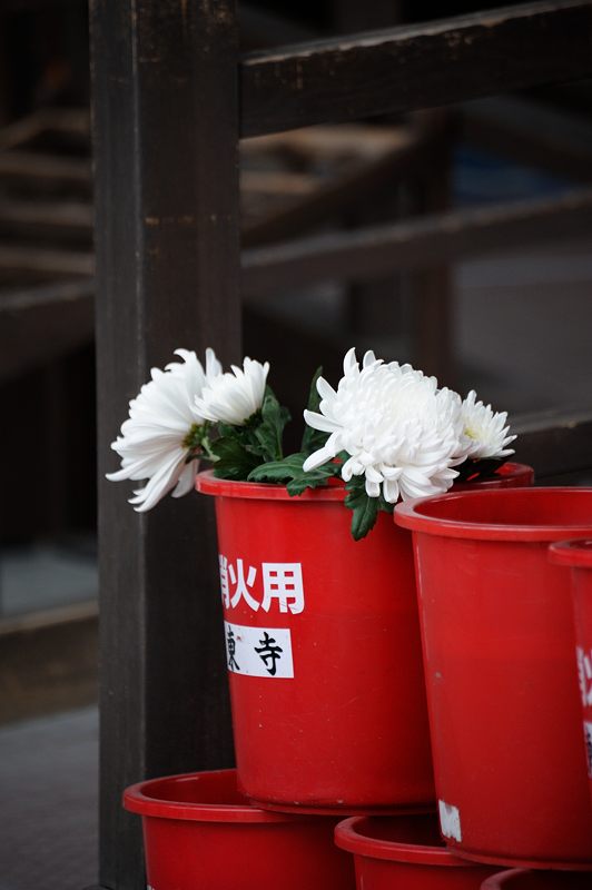 曇天東寺_f0032011_18262774.jpg