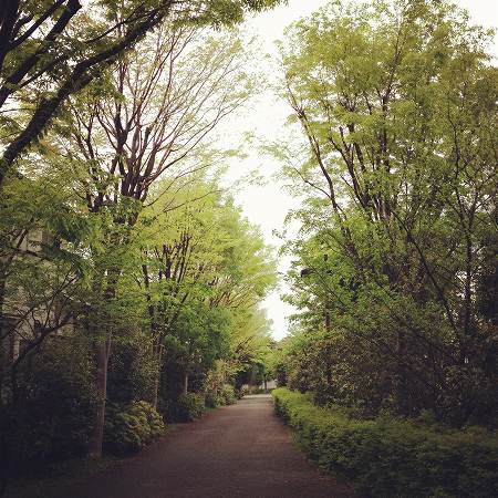 4月29日-30日(日・月曜日)_a0036513_13401989.jpg