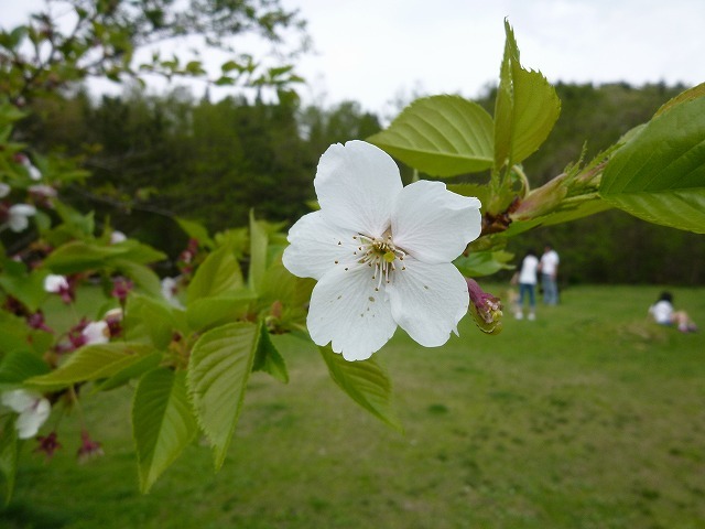 a0098513_9133623.jpg