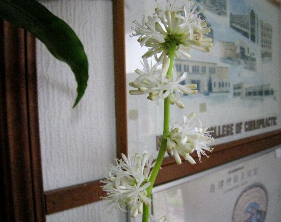 d0053616_19732100.jpg