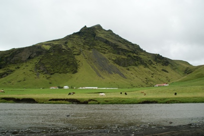 b0083417_21451092.jpg