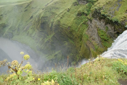 b0083417_21473511.jpg