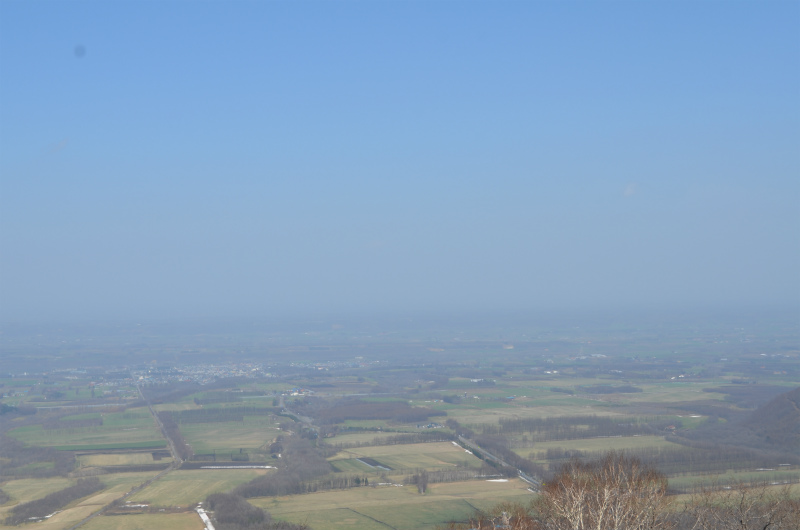 f0153018_2012085.jpg
