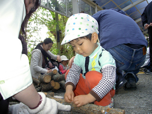 きのこの菌うちをしました～!!_c0194522_16272097.jpg