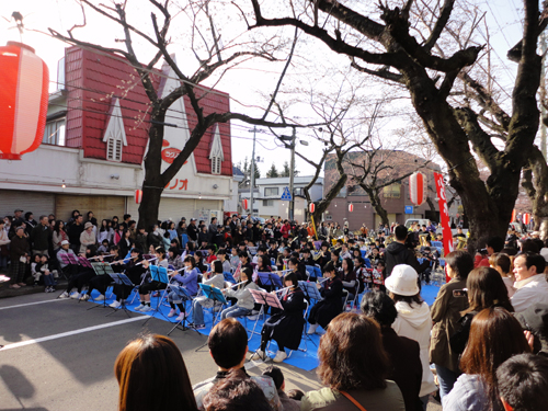青森市桜川 桜祭り 北国の建築徒然草 山本プランニング一級建築士事務所 青森市桜川 桜祭り 北国の建築徒然草 山本プランニング一級建築士事務所