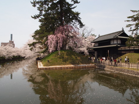 弘前公園桜20120501_b0147224_22345819.jpg