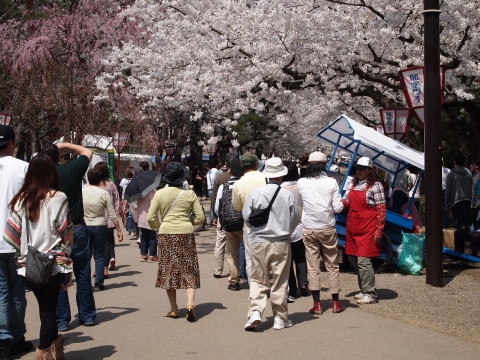 弘前公園桜20120501_b0147224_2239152.jpg