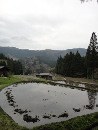 c0189724_1630628.jpg
