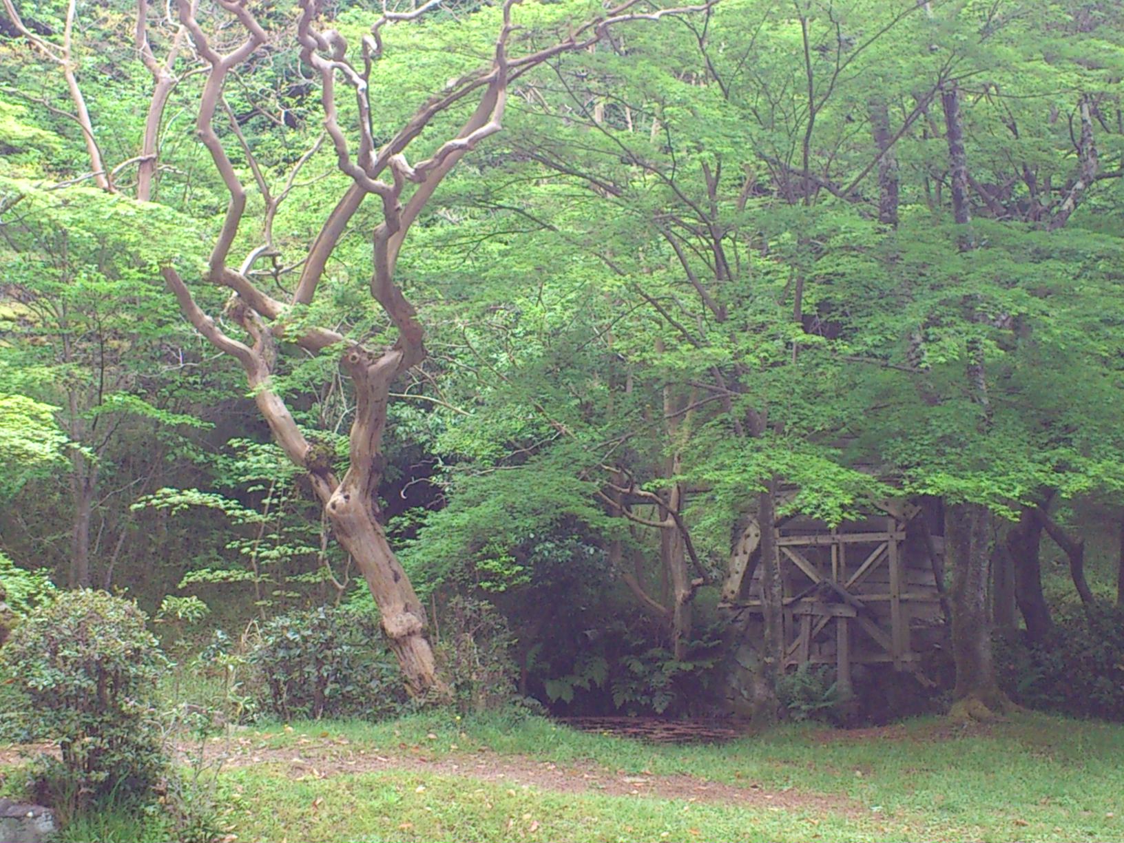 e0128024_13554812.jpg