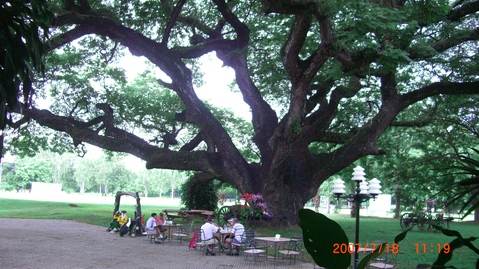 d0159325_0271914.jpg