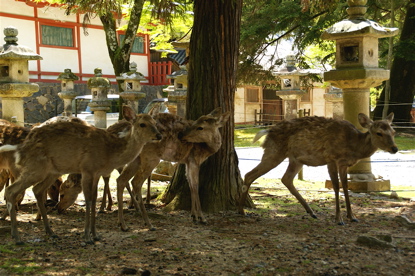 歴史と自然を満喫の旅_f0151327_12141985.jpg