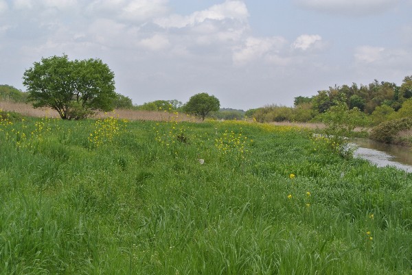 f0171028_17395419.jpg