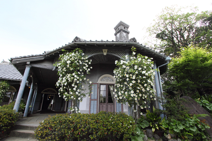 b0169330_22443325.jpg