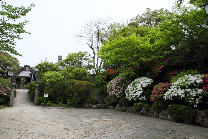b0169330_22541862.jpg