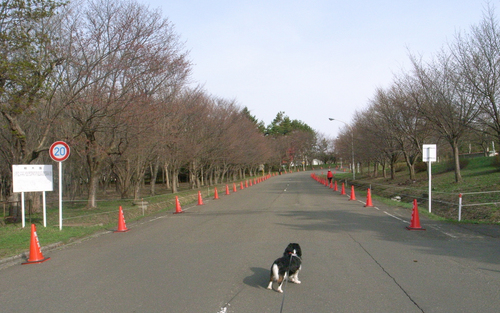 今日も野球観戦三昧な日_c0051132_20434886.jpg