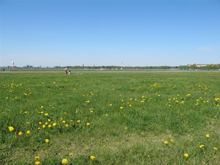 f0224632_22474932.jpg