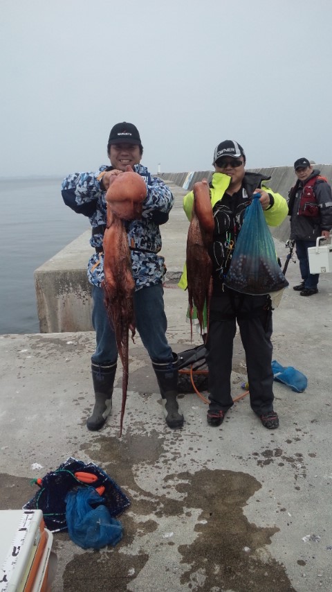 -_b0128238_804212.jpg