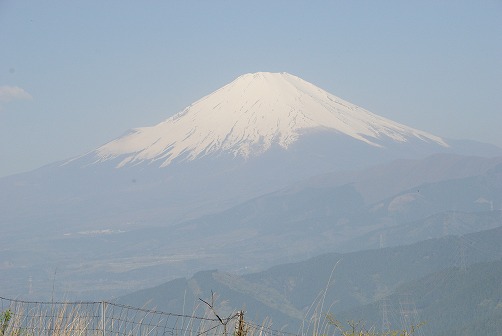 a0048040_12351586.jpg