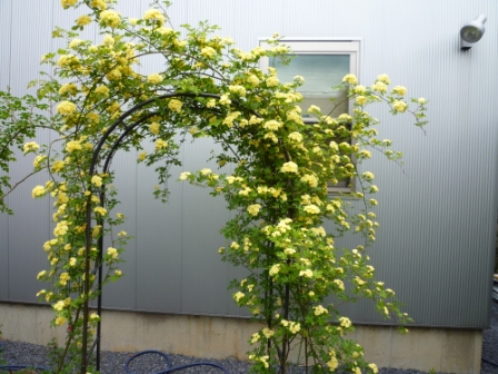 c0237143_17475934.jpg