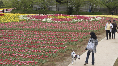 しーちゃんとお花めぐりに行ってきました♪_a0158344_18324538.jpg