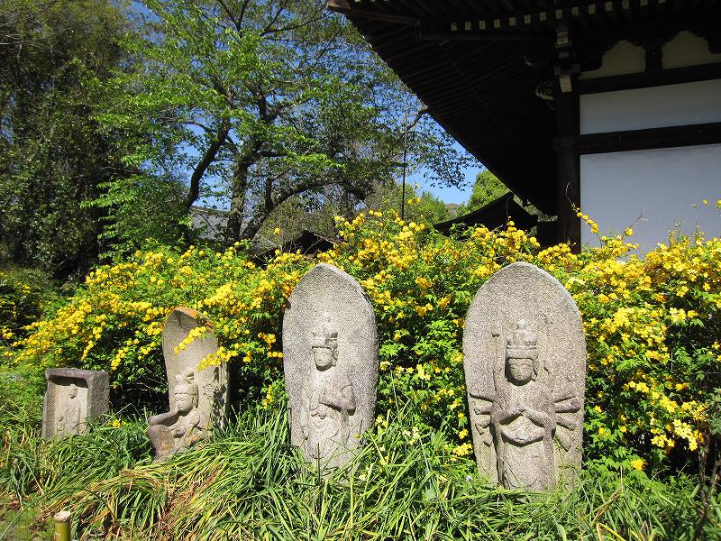 花の寺【般若寺】_e0237645_1759341.jpg