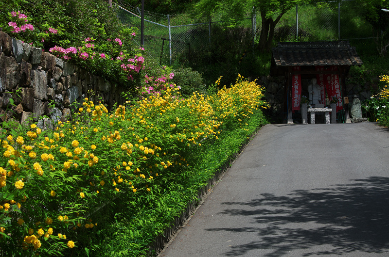 春の花咲く恵心院（宇治）_f0155048_21525233.jpg