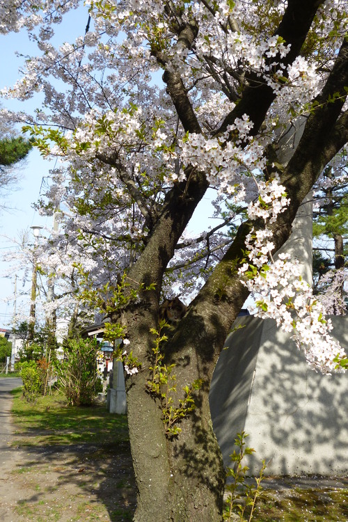 b0238249_21382913.jpg