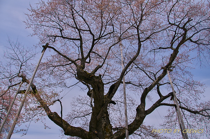 e0056449_8101446.jpg