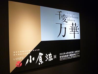 小原流展_c0207154_935421.jpg