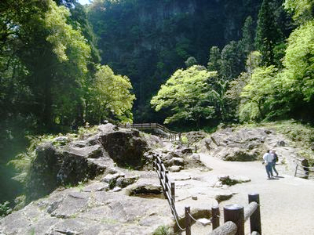 d0155361_2083022.png