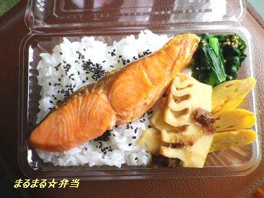 焼き鮭弁当 捨てられるお弁当箱で まるまる 弁当 焼き鮭弁当 捨てられるお弁当箱で まるまる 弁当