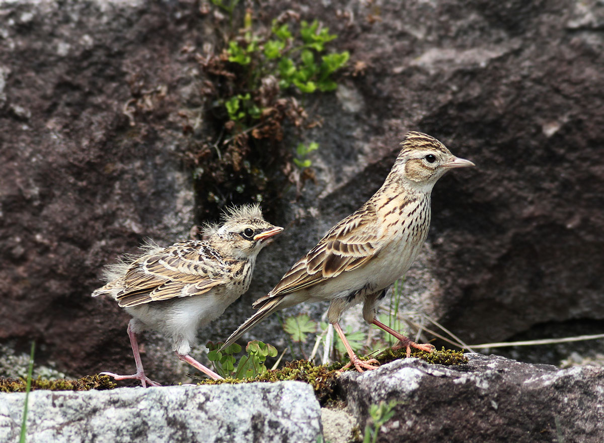 f0215767_1654223.jpg
