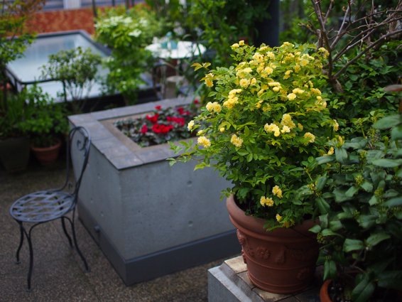b0011771_18495.jpg
