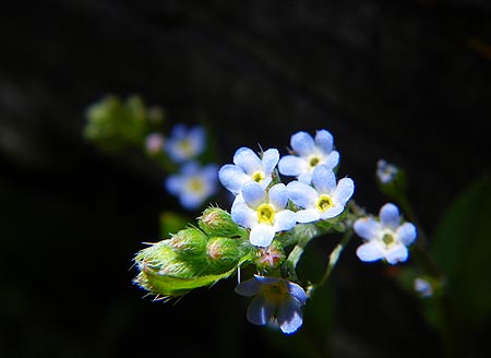 d0179883_9268.jpg