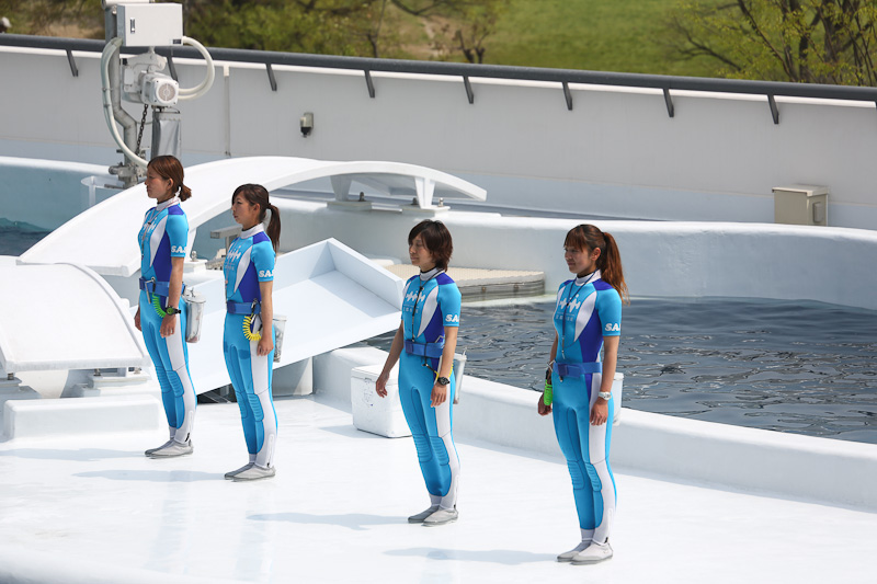 京都水族館 イルカショー ぴんぼけふぉとぶろぐ 京都水族館 イルカショー ぴんぼけふぉとぶろぐ