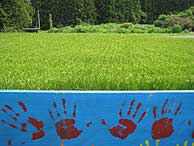 8月19日の田んぼ(月光原小・西根小)_d0247484_21155794.jpg