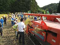 稲刈り体験(月光原小・西根小)_d0247484_21503571.jpg
