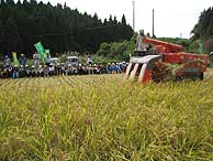 稲刈り体験(月光原小・西根小)_d0247484_21511981.jpg