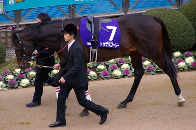 トゥザグローリー（１１’有馬記念３）_b0015386_21361841.jpg