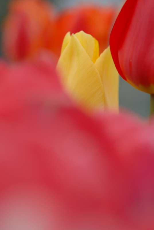 f0202686_20523133.jpg