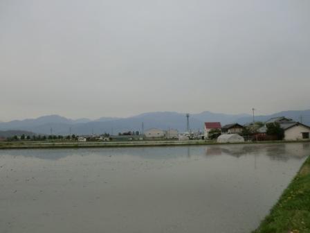 b0140887_14332647.jpg