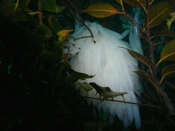 f0079996_19212341.jpg