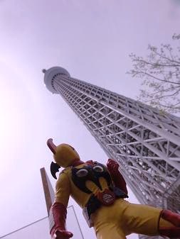 b0001402_12145713.jpg