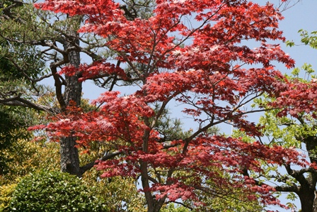c0128303_19371627.jpg