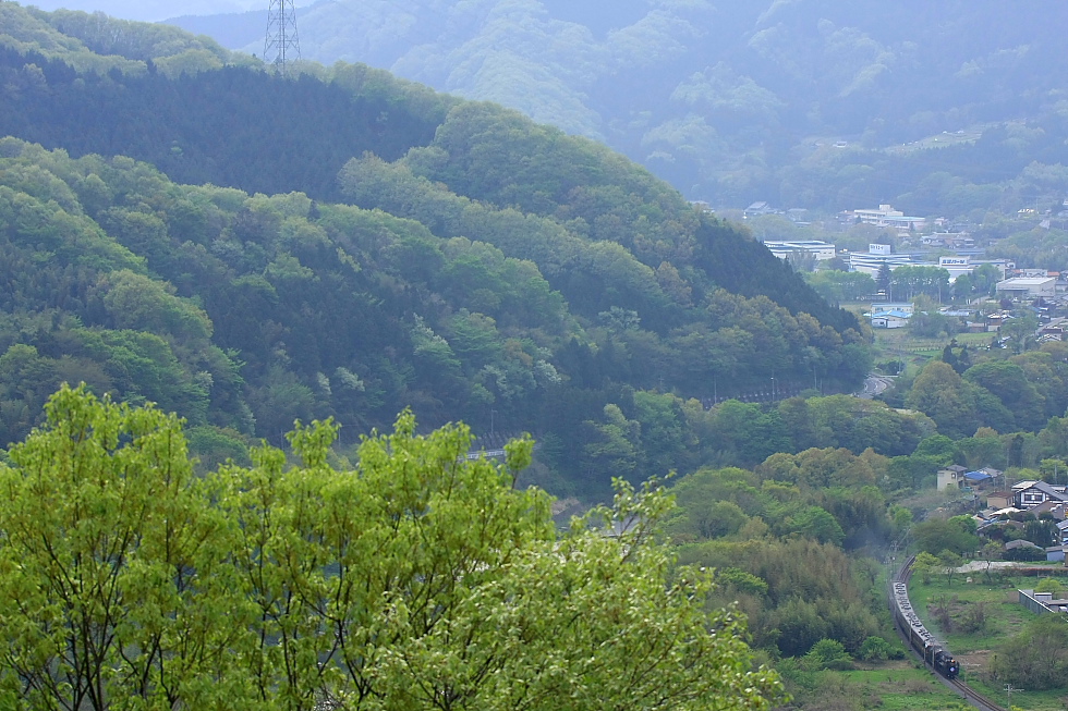 うすーーーーーい煙 - 2012年春・秩父 -_b0190710_2331015.jpg