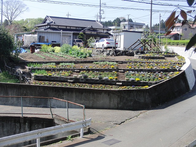 時間を忘れて見学した「富士市オープンガーデン」_f0141310_810374.jpg