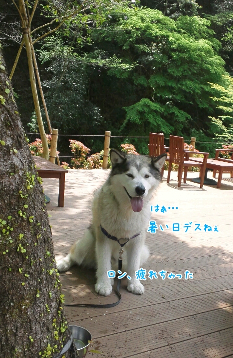 d0241911_1036619.jpg